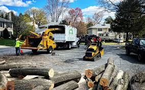 Best Lot and Land Clearing  in Olney, IL